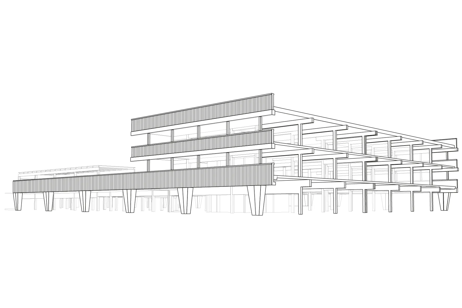das_08