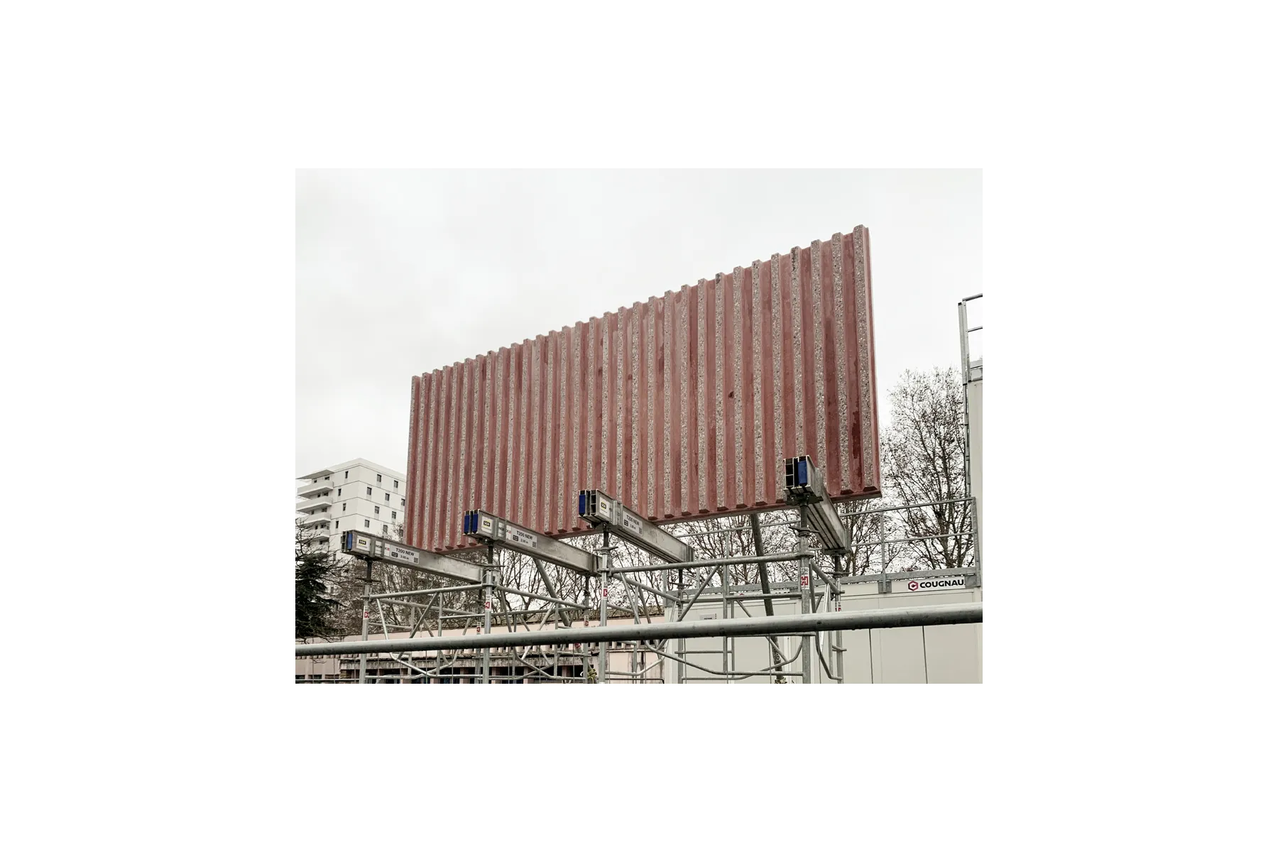 das_19