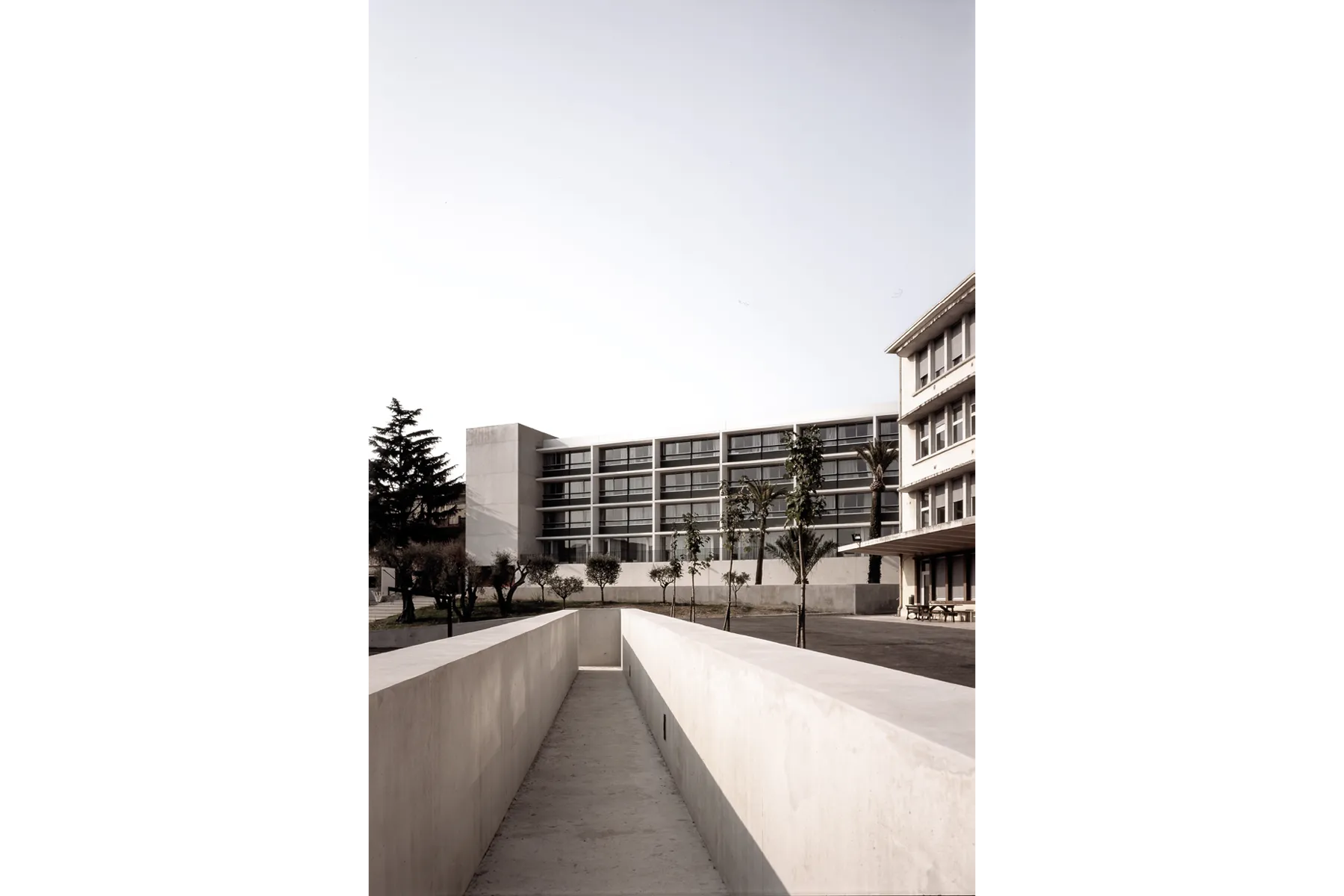 Vue 3