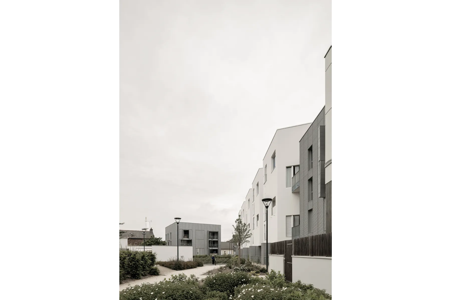 Vue 17
